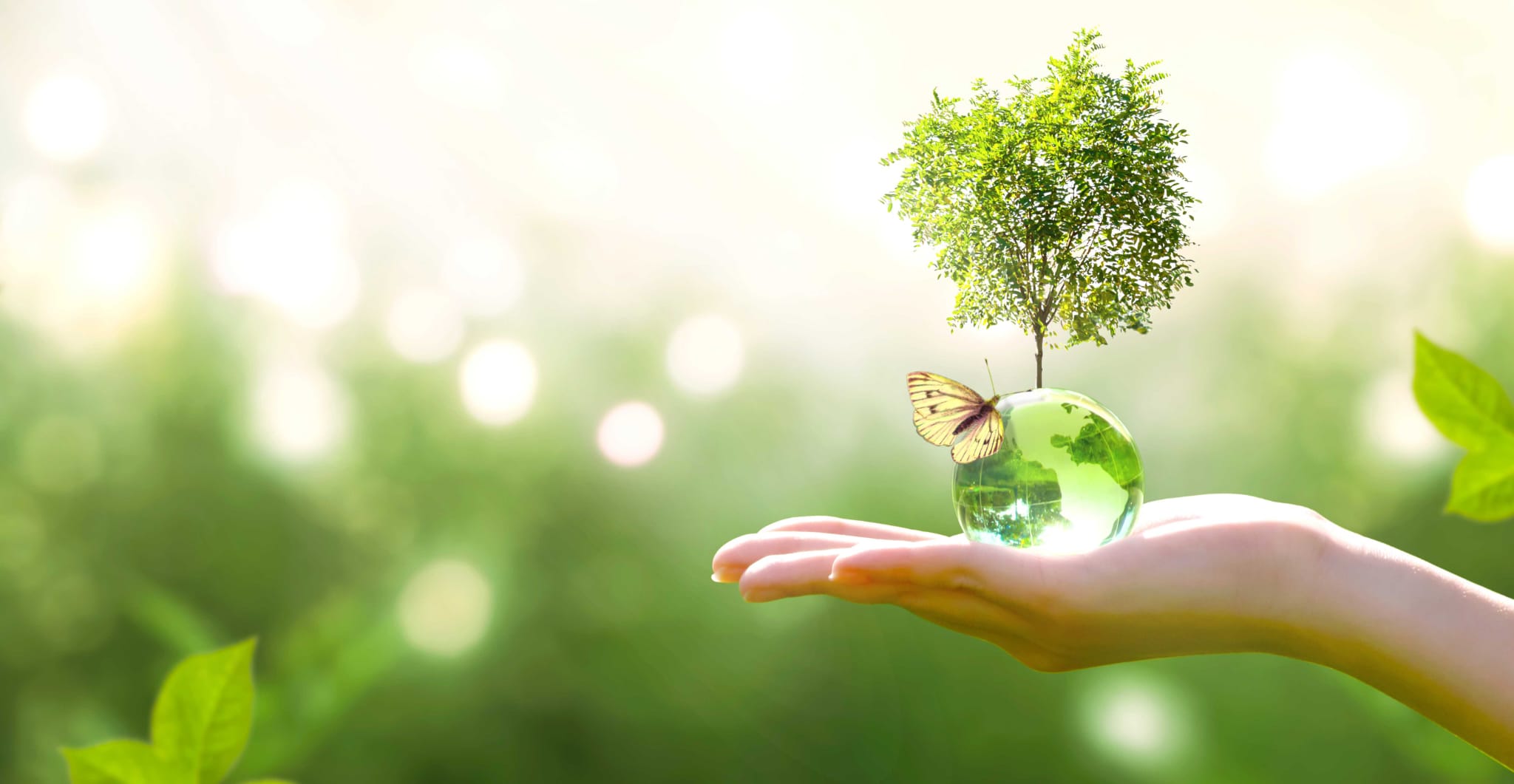 Green Tree